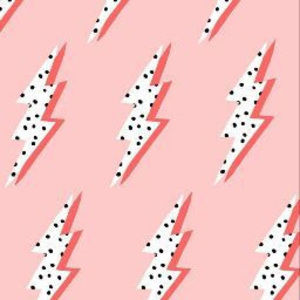 Meet your Posher, Bristal